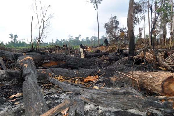 Pencemaran yang Dapat Menyebabkan Perubahan Alam