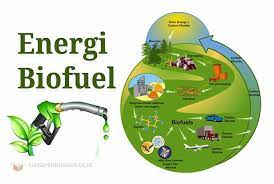 Apa Fungsi Biofuel? – Jurusan Teknik Mesin Terbaik Di Sumut