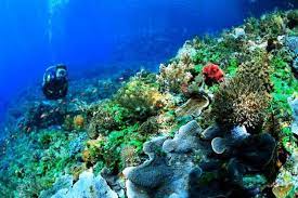 sumber daya laut